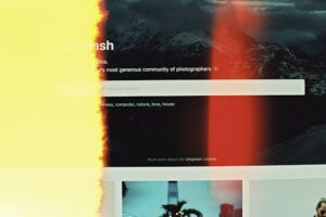 Flowers Before Adam and Eve